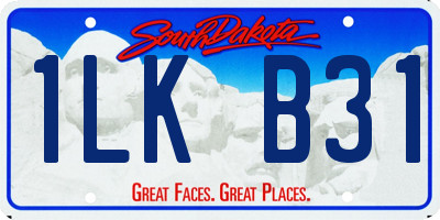 SD license plate 1LKB31