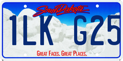 SD license plate 1LKG25