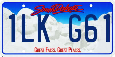 SD license plate 1LKG61
