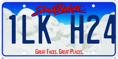 SD license plate 1LKH24