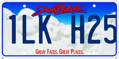 SD license plate 1LKH25