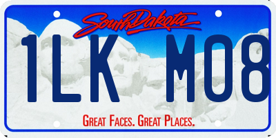 SD license plate 1LKM08