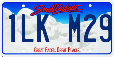 SD license plate 1LKM29