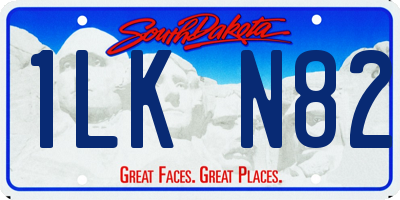 SD license plate 1LKN82