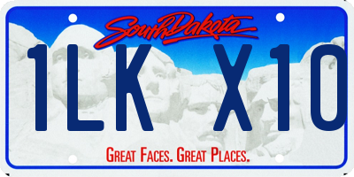 SD license plate 1LKX10
