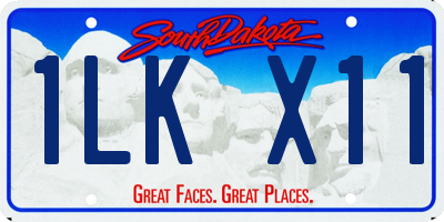 SD license plate 1LKX11