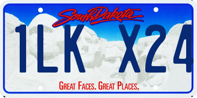 SD license plate 1LKX24