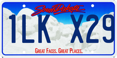 SD license plate 1LKX29