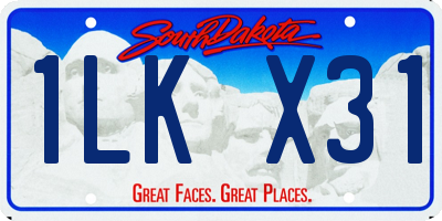 SD license plate 1LKX31