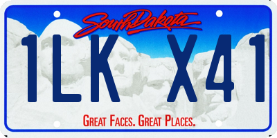 SD license plate 1LKX41