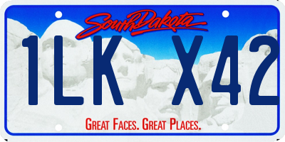 SD license plate 1LKX42