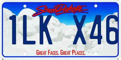SD license plate 1LKX46