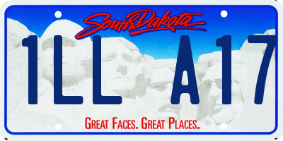 SD license plate 1LLA17