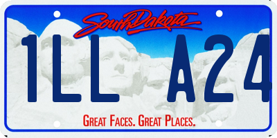 SD license plate 1LLA24