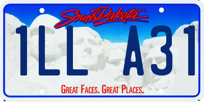 SD license plate 1LLA31