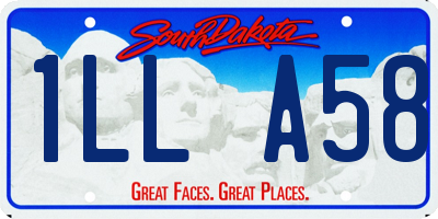 SD license plate 1LLA58
