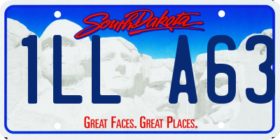 SD license plate 1LLA63