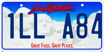 SD license plate 1LLA84