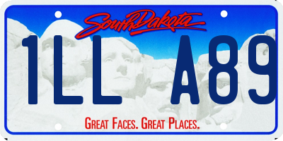 SD license plate 1LLA89