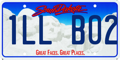 SD license plate 1LLB02