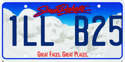 SD license plate 1LLB25