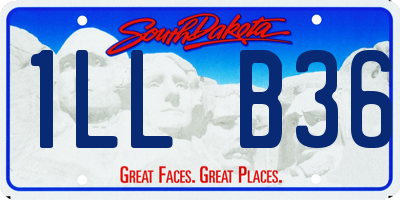 SD license plate 1LLB36