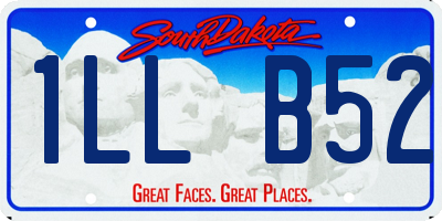 SD license plate 1LLB52