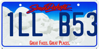 SD license plate 1LLB53