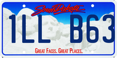 SD license plate 1LLB63