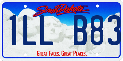 SD license plate 1LLB83