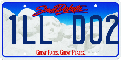 SD license plate 1LLD02