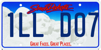 SD license plate 1LLD07