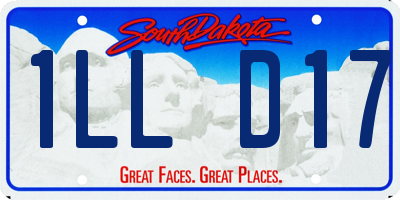 SD license plate 1LLD17