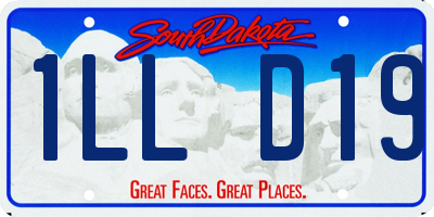SD license plate 1LLD19