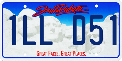 SD license plate 1LLD51