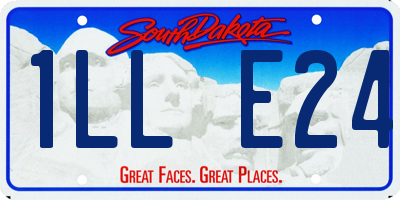 SD license plate 1LLE24