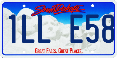 SD license plate 1LLE58