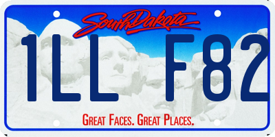 SD license plate 1LLF82