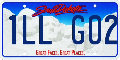 SD license plate 1LLG02