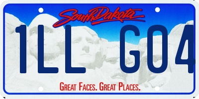 SD license plate 1LLG04