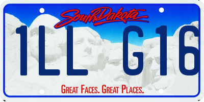 SD license plate 1LLG16