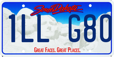 SD license plate 1LLG80