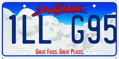 SD license plate 1LLG95