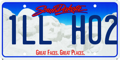 SD license plate 1LLH02