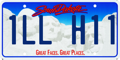 SD license plate 1LLH11