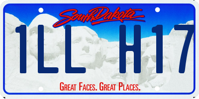 SD license plate 1LLH17