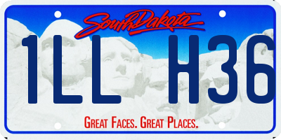 SD license plate 1LLH36