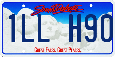 SD license plate 1LLH90