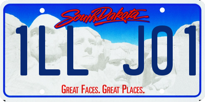 SD license plate 1LLJ01
