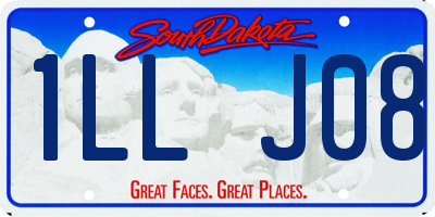 SD license plate 1LLJ08
